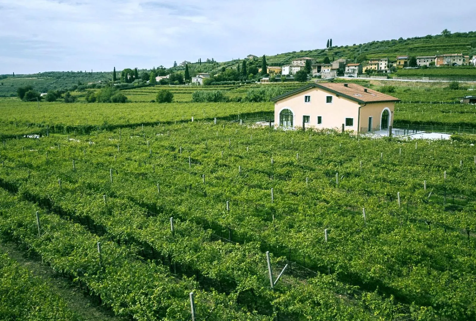 נגראר Agriturismo Igino - Camere Con Vista Sui Vigneti -